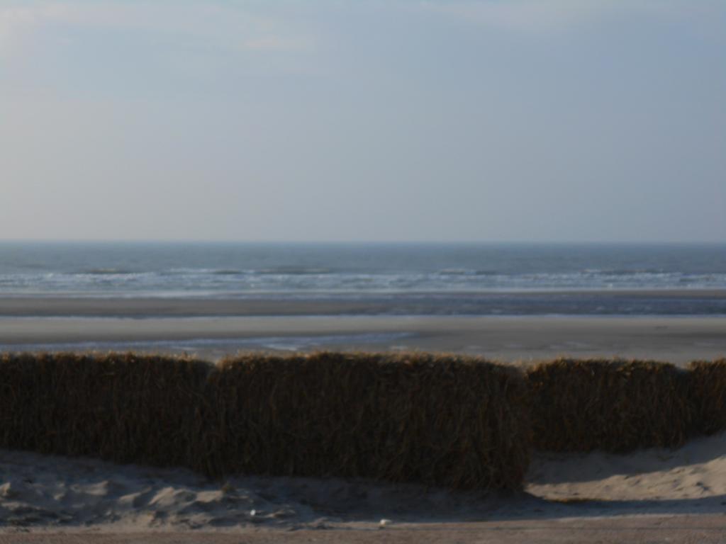 Les Ondines 11 Daire Quend-Plage Dış mekan fotoğraf